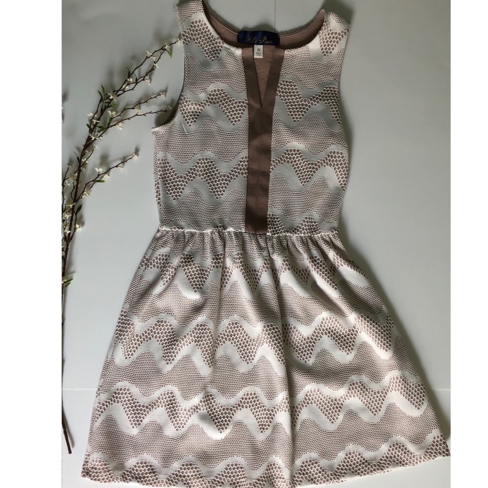 Fit and flare white and tan dress